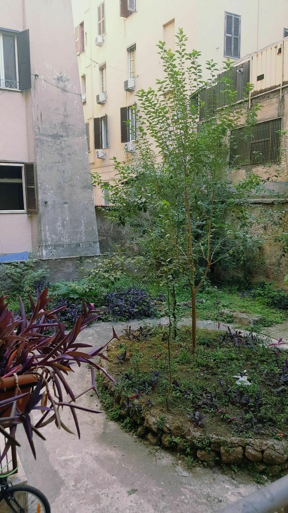 Marcelina Vaticans Rooms 로마 외부 사진